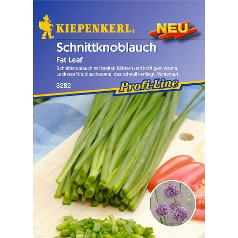 Schnittknoblauch Fat Leaf - Allium tuberosum - Samen