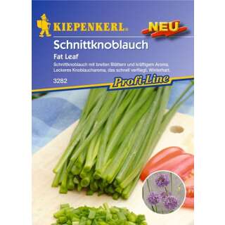 Schnittknoblauch Fat Leaf - Allium tuberosum - Samen