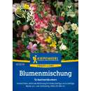 Blumenmischung Schattenblumen ein- und mehrjährig - Samen