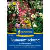 Blumenmischung Schattenblumen ein- und mehrjährig - Samen