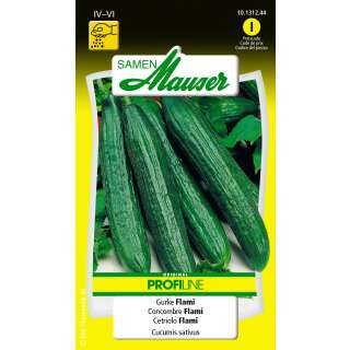 Gurke Flami Profiline - Cucumis sativa - Samen