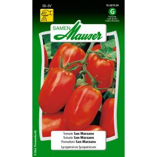 Tomate San Marzano F1 - Lycopersicon esculentum -...