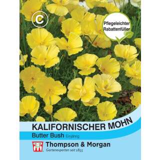 Kalifornischer Mohn Butter Bush - Eschscholzia californica - Samen