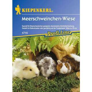 Grünes für Tiere, Kleintiermischung Meerschweinchenwiese - Samen