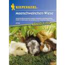 Grünes für Tiere, Kleintiermischung Meerschweinchenwiese - Samen