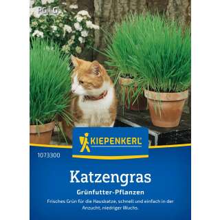 Grünes für Tiere, Kleintiermischung Katzengras - Samen