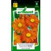 Tithonie, mexikanische Sonnenblume Fackel - Tithonia rotundifolia - Samen