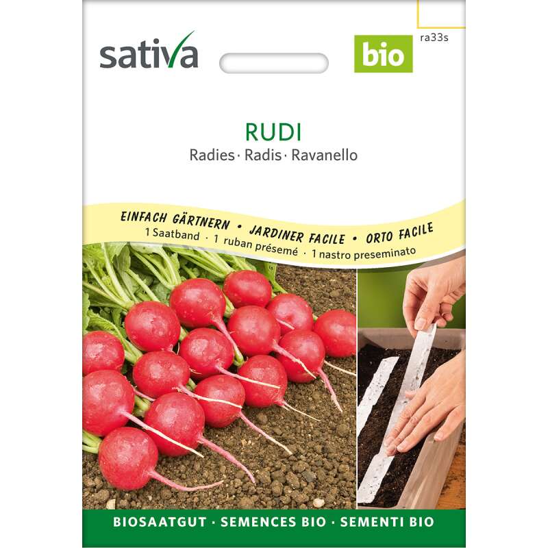 Radies Rudi - Raphanus sativus  - BIOSAMEN-SAATBAND