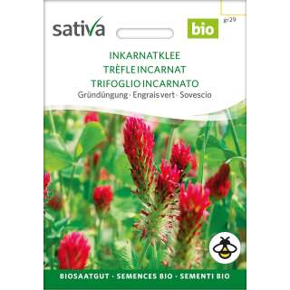 Gründüngung Inkarnat-Klee - Trifolium...
