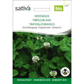Gründüngung Weissklee - Trifolium repens - BIOSAMEN