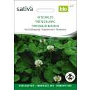 Gründüngung Weissklee - Trifolium repens -...