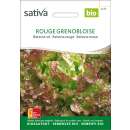 Batavia rot Rouge de Grenoble - Lactuca sativa-- BIOSAMEN