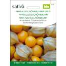 Kapstachelbeere, Andenbeere Schönbrunner Gold - Physalis peruviana  - BIOSAMEN