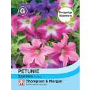 Petunie Sparklers - Petunia hybrida - Samen