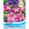 Petunie Sparklers - Petunia hybrida - Samen