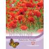 Mohn, Klatschmohn Flanders - Papaver rhoeas - Samen