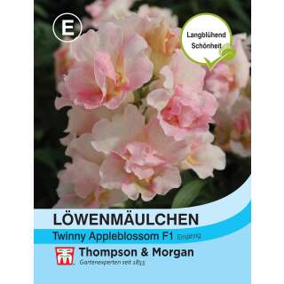 Löwenmäulchen Twinny Appleblossom F1 Hybride -...