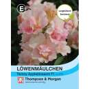 Löwenmäulchen Twinny Appleblossom F1 Hybride -...