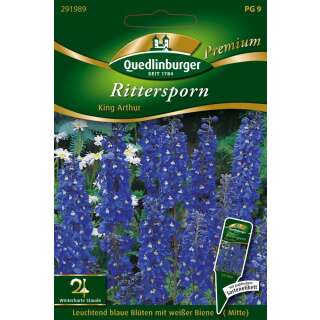 Rittersporn King Arthur - Delphinium elatum - Samen