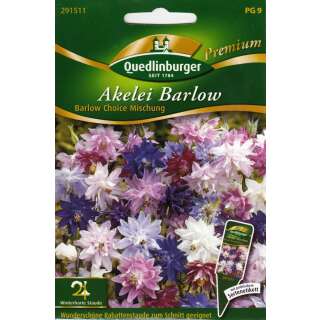 Akelei Barlow Barlow Choice Mischung - Aquilegia vulgaris - Samen