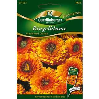 Ringelblume Greenheart Orange - Calendula officinalis -...