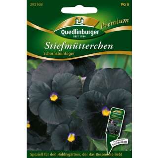 Stiefmütterchen Schornsteinfeger - Viola wittrockiana - Samen