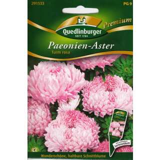 Aster, Paeonien-Aster Turm rosa - Callistephus chinensis - Samen