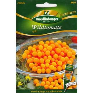 Tomate, Wildtomate gelb - Lycopersicon pimpinellifolium -...