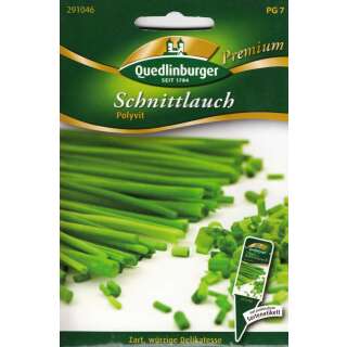 Schnittlauch, feinröhrig Polyvit - Allium schoenoprasum - Samen