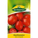 Tomate, Buschtomate Roma - Lycopersicon esculentum -...