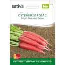 Rettich Ostergruss 2 - Raphanus sativus  - BIOSAMEN