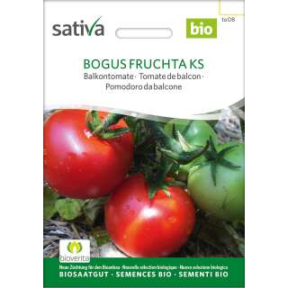 Tomate, Balkontomate Bogus Fruchta - Lycopersicon lycopersicum - BIOSAMEN