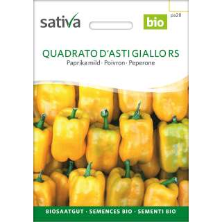 Paprika, mild Quadrato DAsti Giallo - Capsicum annuum - BIOSAMEN