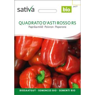 Paprika, mild Quadrato DAsti Rosso - Capsicum annuum - BIOSAMEN