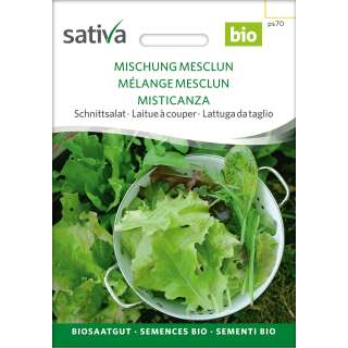 Pflücksalat Mischung Mesclun - Lactuca sativa - BIOSAMEN