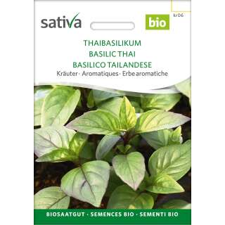 Basilikum, Thaibasilikum - Ocimum basilicum - BIOSAMEN