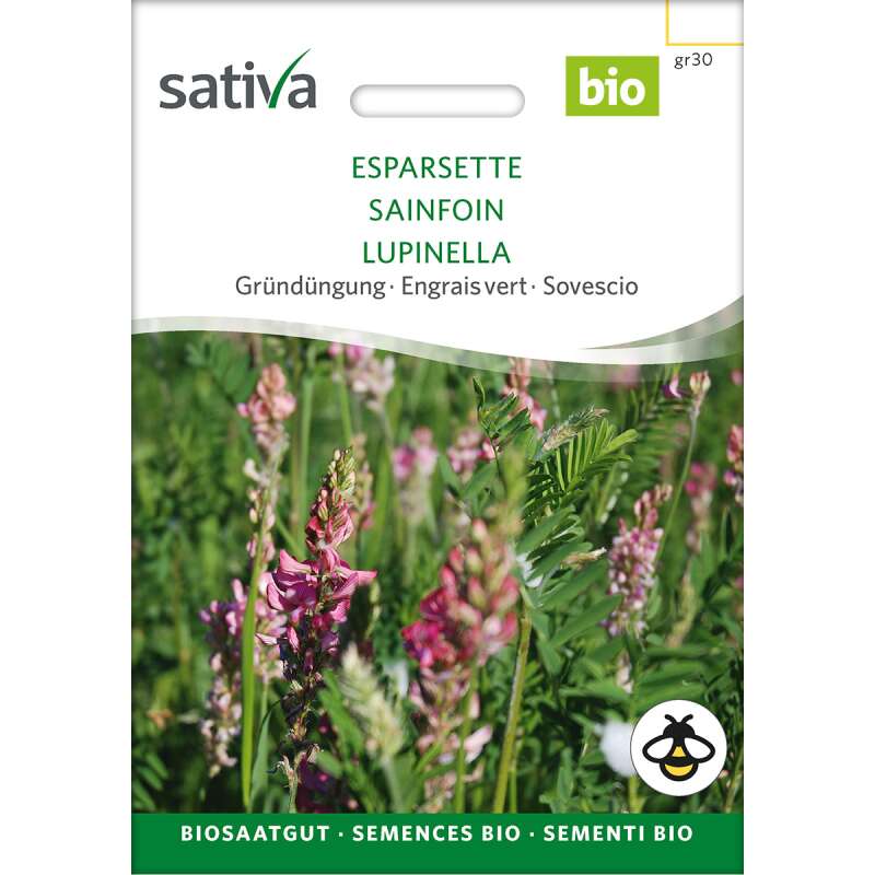 Gründüngung Esparsette - Onobrychis viciifolia - BIOSAMEN