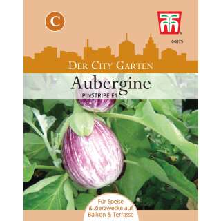 Topf Aubergine Pinstripe F1 - Solanum melongena - Samen