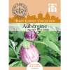 Topf Aubergine Pinstripe F1 - Solanum melongena - Samen