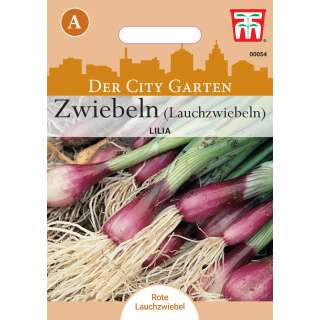 Topf Zwiebel, Lauchzwiebel Lilia - Allium cepa - Samen