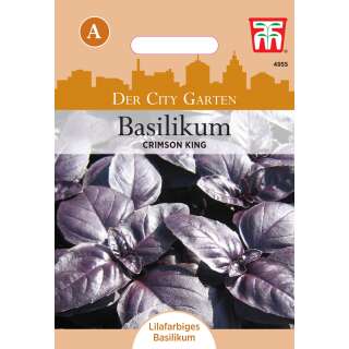 Topf Basilikum Crimson King - Ocimum basilicum - Samen