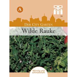 Topf Rucola, Wilde Rauke - Diplotaxis muralis - Samen