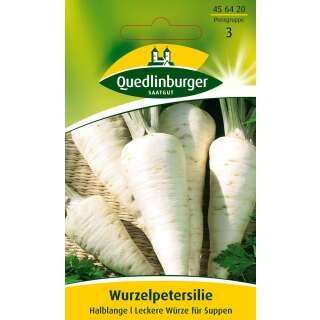 Wurzelpetersilie Halblange - Petroselinum crispum ssp. tuberosum - Samen