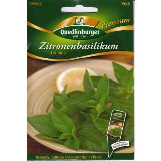 Basilikum, Zitronenbasilikum Lemona - Ocimum basilicum -...