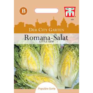 Topf Salatkopf Little Gem - Lactuca sativa - Samen