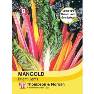 Topf Mangold, Bright Lights - Beta vulgaris Cicla Group -...