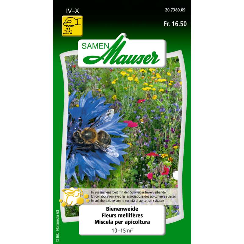 Blumenmischung Bienenweide - Diverse species - GROSSPACKUNG - Samen