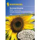 Sonnenblume Snack PROFILINE - Helianthus annuus - Samen