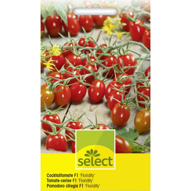 Tomate, Cocktailtomate F1 Floridity - Lycopersicon esculentum - Tomatensamen