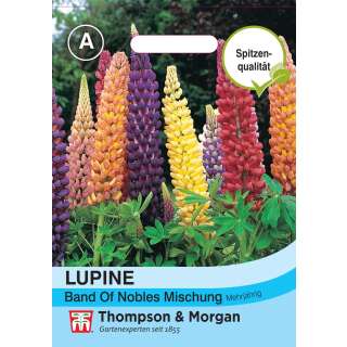 Lupine Band of Nobles Mischung - Lupinus regalis - Samen